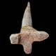 A rib and spike.